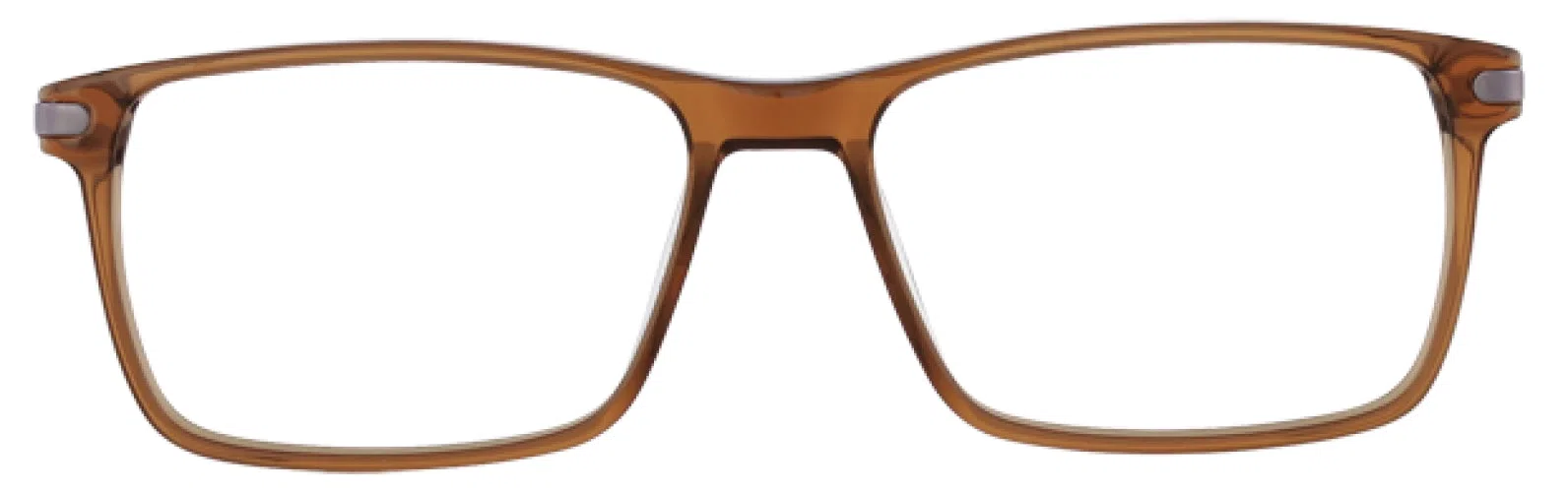Stetson SS326 Eyeglasses - Brown - view 3
